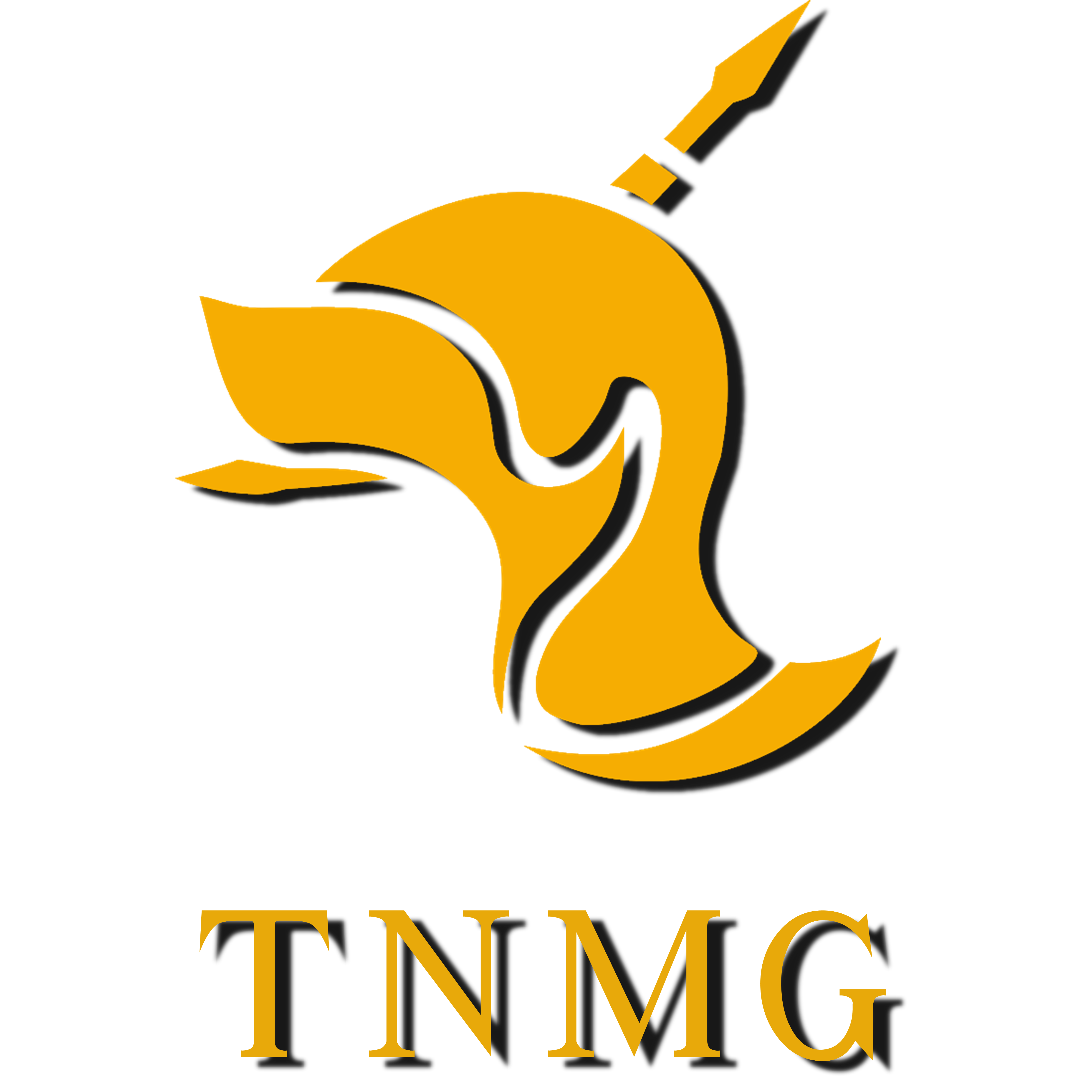 Logo TNMG